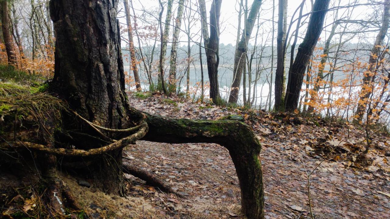 Martas Gaestehaeuser Gross Vaeter See Templin Luaran gambar